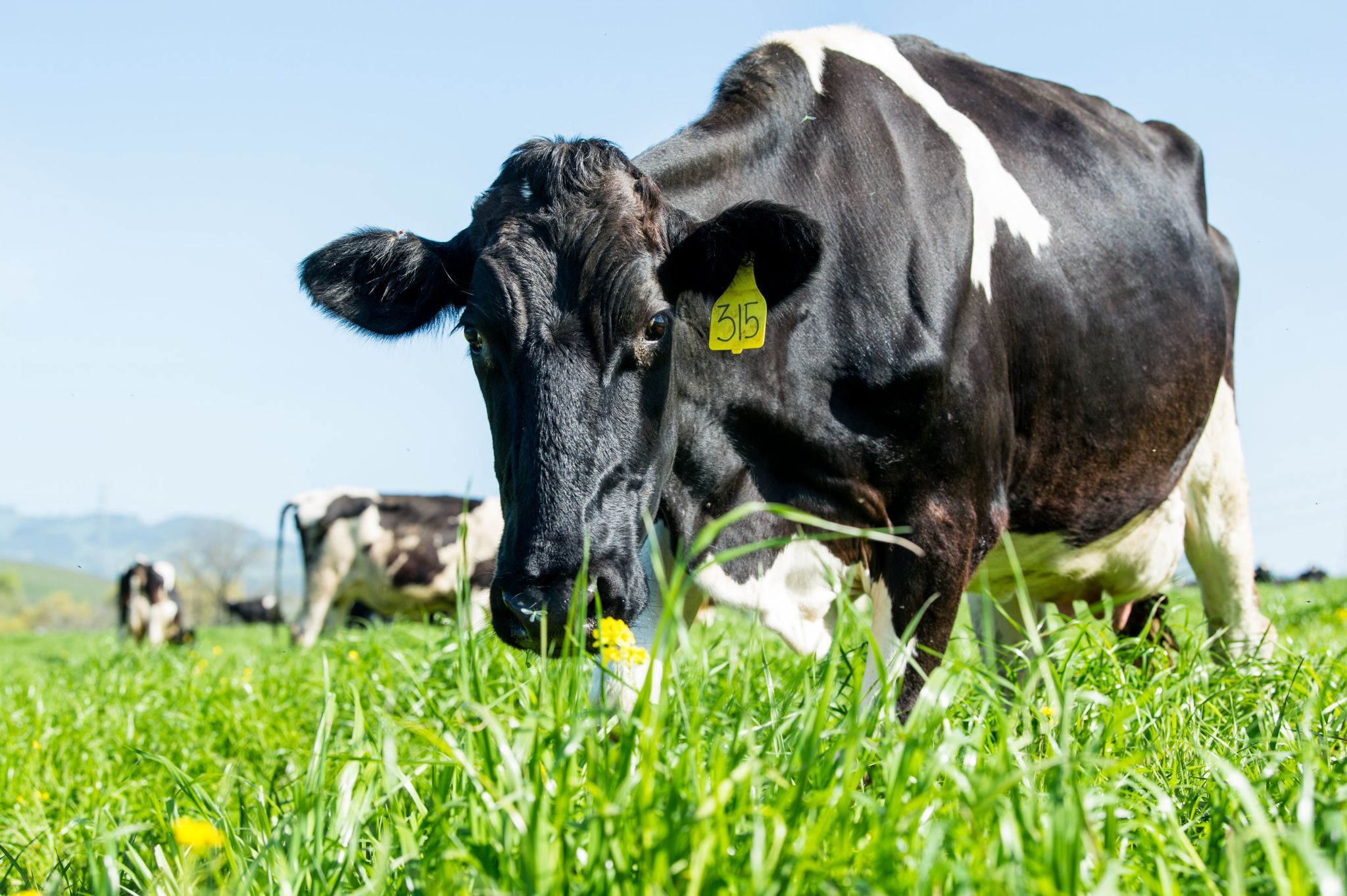 The exponential age isn't always about silicon and code.